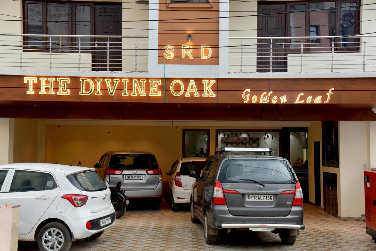 The Divine Oak Golden Leaf Hotel Katra  Exterior foto